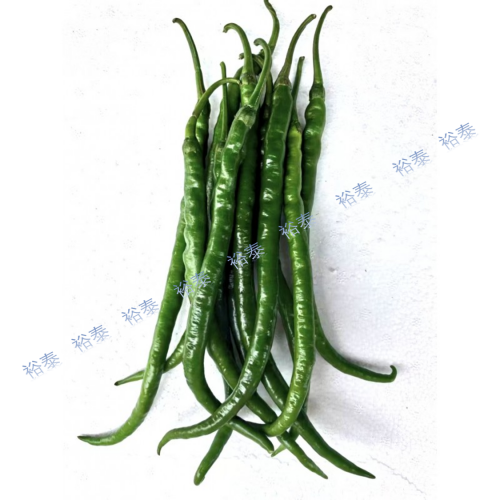 二荊條（綠色）